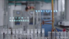 表本网附和其概念和对其实正在性担任